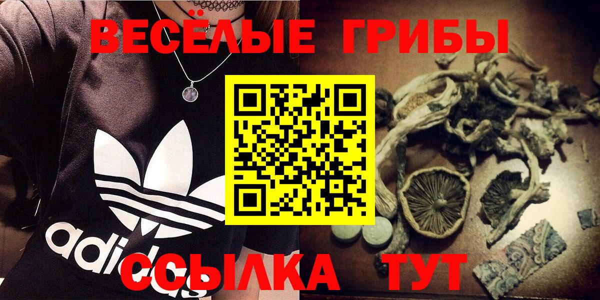 Псилоцибиновые грибы Psilocybine cubensis  Вход с VPN  Псилоцибиновые грибы мухоморы  Тимашёвск 